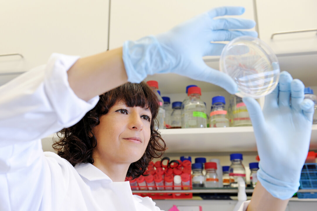 Emmanuelle Charpentier in the laboratory