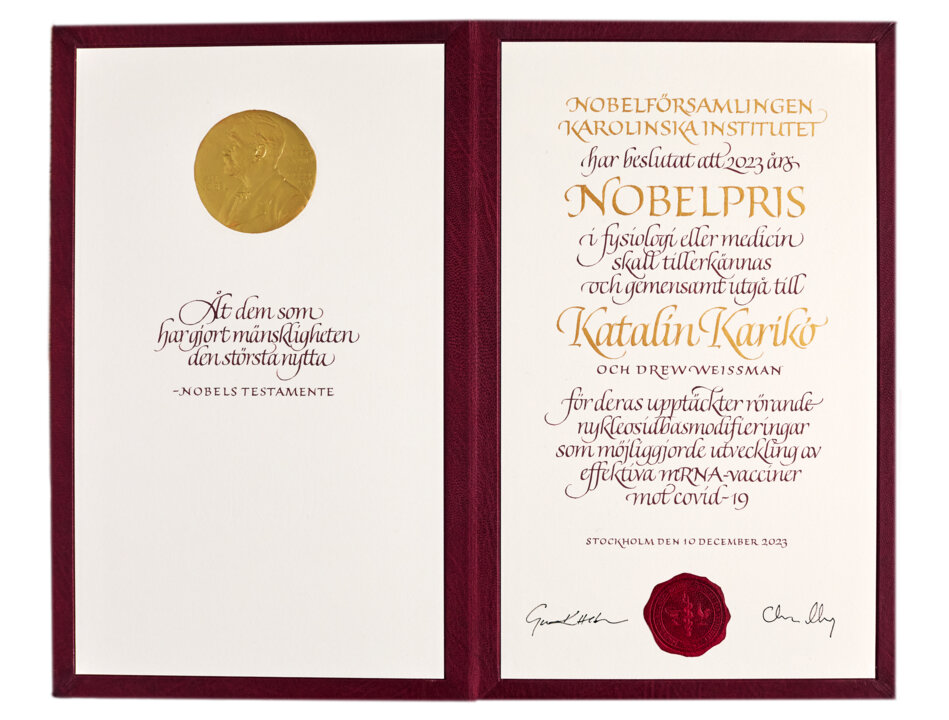 Katalin Karikó  - Nobel Prize diploma.jpg