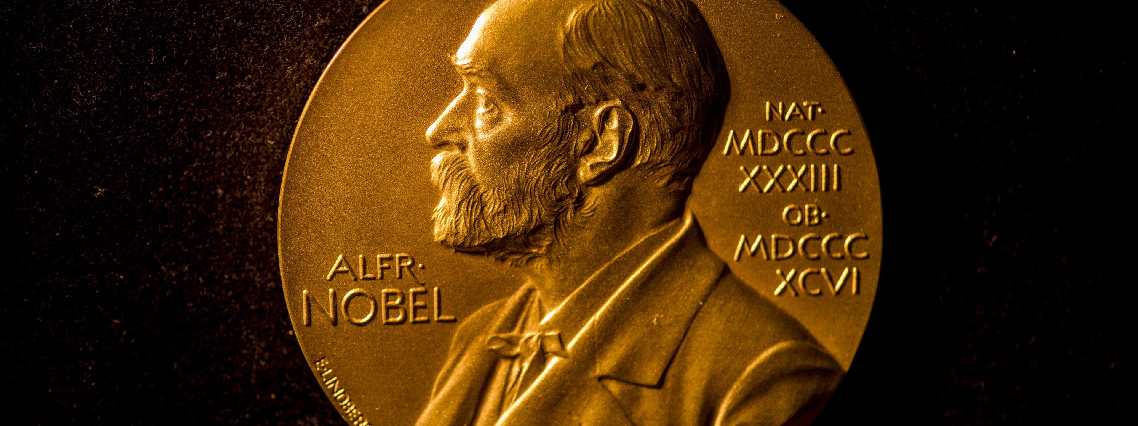 Nobel Prize medal (28)