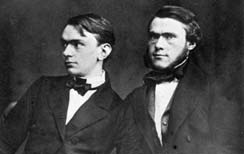 Alfred and Ludwig