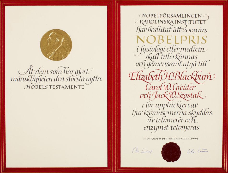 Elizabeth H. Blackburn - Nobel Prize diploma