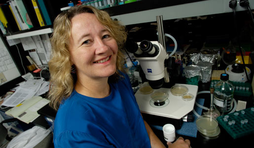 Carol W. Greider in the lab