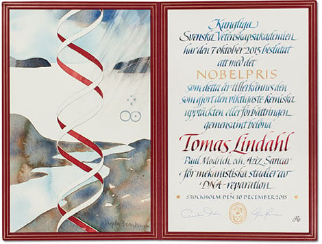Tomas Lindahl - Nobel Prize diploma