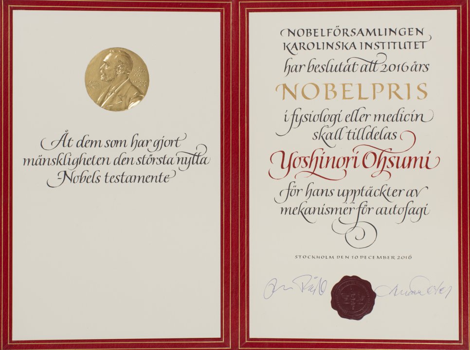 Yoshinori Ohsumi - Nobel Prize diploma