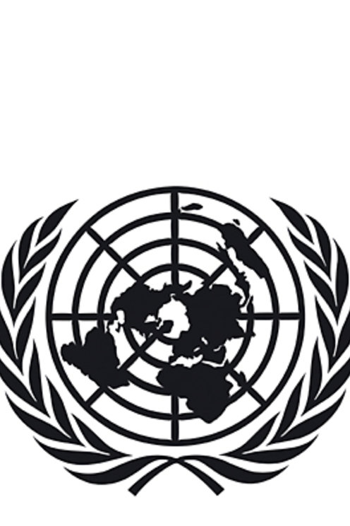 United Nations logotype