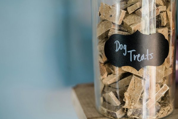 Croquettes sans gluten : la solution idéale pour votre chien